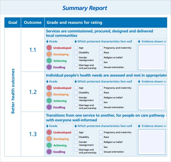 7 Free Summary Report Templates Excel PDF Formats